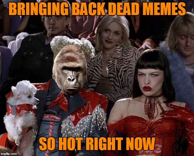 BRINGING BACK DEAD MEMES SO HOT RIGHT NOW | made w/ Imgflip meme maker