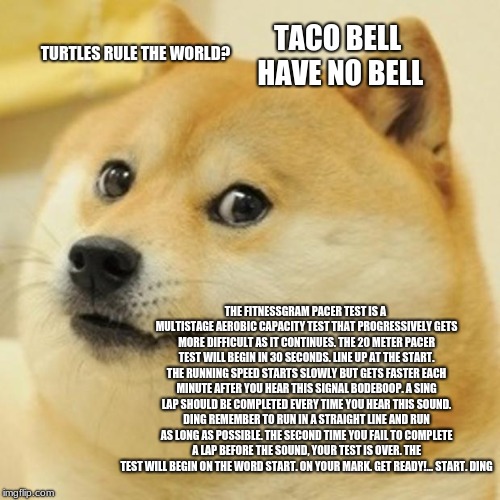 Doge Meme | TACO BELL HAVE NO BELL; TURTLES RULE THE WORLD? THE FITNESSGRAM PACER TEST IS A MULTISTAGE AEROBIC CAPACITY TEST THAT PROGRESSIVELY GETS MORE DIFFICULT AS IT CONTINUES. THE 20 METER PACER TEST WILL BEGIN IN 30 SECONDS. LINE UP AT THE START. THE RUNNING SPEED STARTS SLOWLY BUT GETS FASTER EACH MINUTE AFTER YOU HEAR THIS SIGNAL BODEBOOP. A SING LAP SHOULD BE COMPLETED EVERY TIME YOU HEAR THIS SOUND. DING REMEMBER TO RUN IN A STRAIGHT LINE AND RUN AS LONG AS POSSIBLE. THE SECOND TIME YOU FAIL TO COMPLETE A LAP BEFORE THE SOUND, YOUR TEST IS OVER. THE TEST WILL BEGIN ON THE WORD START. ON YOUR MARK. GET READY!… START. DING﻿ | image tagged in memes,doge | made w/ Imgflip meme maker