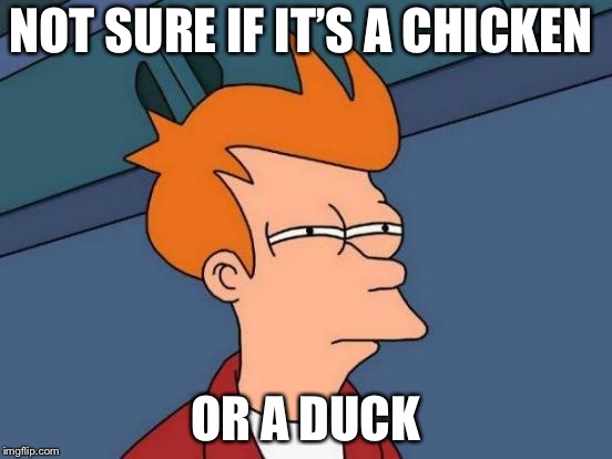 Futurama Fry | NOT SURE IF IT’S A CHICKEN; OR A DUCK | image tagged in memes,futurama fry | made w/ Imgflip meme maker
