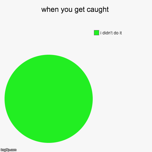 when you get caught | i didn't do it | image tagged in funny,pie charts | made w/ Imgflip chart maker