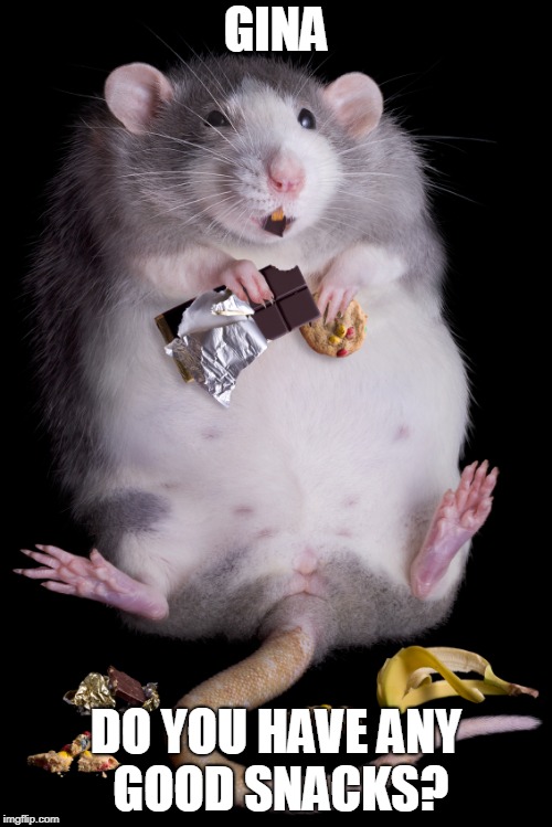 Mouse | GINA; DO YOU HAVE ANY GOOD SNACKS? | image tagged in mouse | made w/ Imgflip meme maker