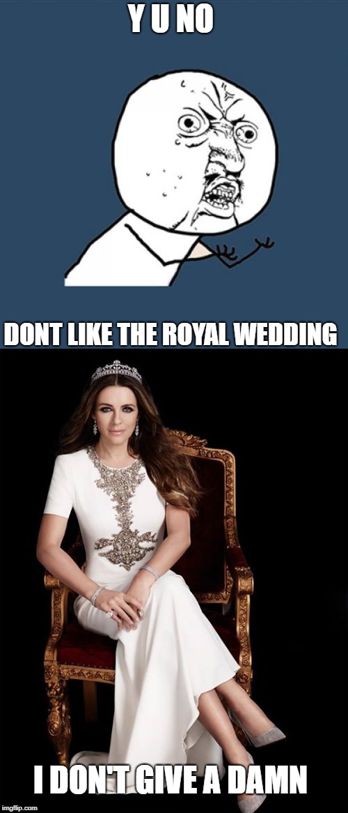 queen Helen is  some days she's just a b**** | Y U NO; DONT LIKE THE ROYAL WEDDING; I DON'T GIVE A DAMN | image tagged in y u no | made w/ Imgflip meme maker