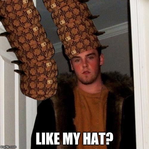 Like my hat? | LIKE MY HAT? | image tagged in memes,scumbag steve,scumbag | made w/ Imgflip meme maker