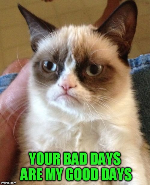 Grumpy Cat Meme | YOUR BAD DAYS ARE MY GOOD DAYS | image tagged in memes,grumpy cat | made w/ Imgflip meme maker