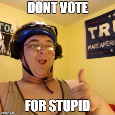 DONT VOTE; FOR STUPID | image tagged in armericanidiot | made w/ Imgflip meme maker