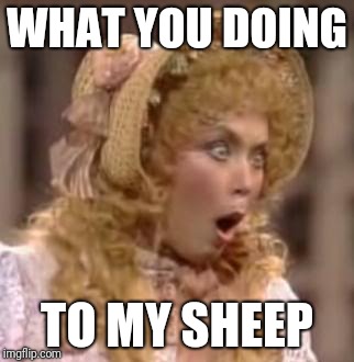 No peep | WHAT YOU DOING; TO MY SHEEP | image tagged in omg | made w/ Imgflip meme maker