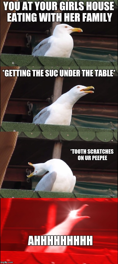 Inhaling Seagull Meme |  YOU AT YOUR GIRLS HOUSE EATING WITH HER FAMILY; *GETTING THE SUC UNDER THE TABLE*; *TOOTH SCRATCHES ON UR PEEPEE; AHHHHHHHHH | image tagged in memes,inhaling seagull | made w/ Imgflip meme maker