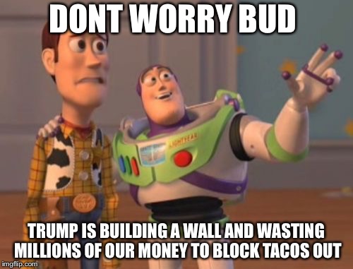 Millions of dollars wasted | DONT WORRY BUD; TRUMP IS BUILDING A WALL AND WASTING MILLIONS OF OUR MONEY TO BLOCK TACOS OUT | image tagged in memes,x x everywhere | made w/ Imgflip meme maker
