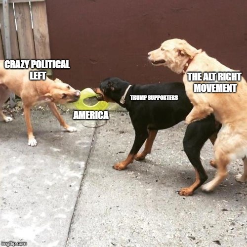 What they don't want you to see. Milking political memes is the key | CRAZY POLITICAL LEFT; THE ALT RIGHT MOVEMENT; TRUMP SUPPORTERS; AMERICA | image tagged in this is my life | made w/ Imgflip meme maker