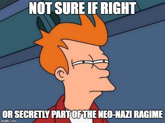 Futurama Fry Meme | NOT SURE IF RIGHT OR SECRETLY PART OF THE NEO-NAZI RAGIME | image tagged in memes,futurama fry | made w/ Imgflip meme maker