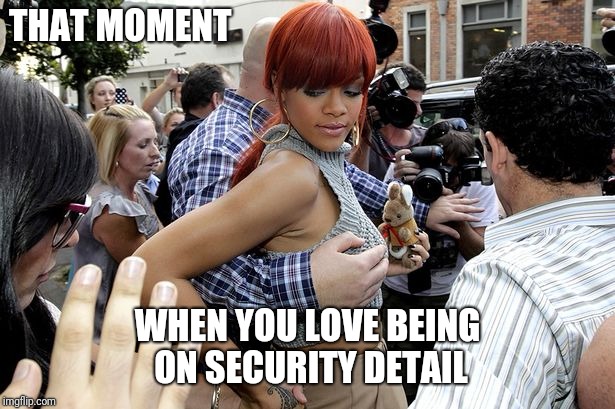 Safe | THAT MOMENT; WHEN YOU LOVE BEING ON SECURITY DETAIL | image tagged in grab | made w/ Imgflip meme maker