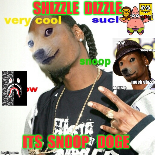 Snoop Doge  | SHIZZLE  DIZZLE; ITS  SNOOP   DOGE | image tagged in memes | made w/ Imgflip meme maker