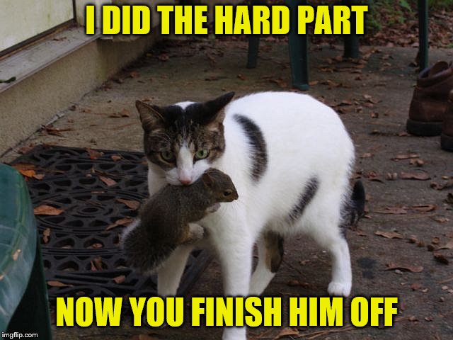 I DID THE HARD PART NOW YOU FINISH HIM OFF | made w/ Imgflip meme maker