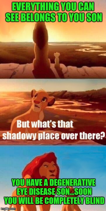 Simba Shadowy Place Meme | EVERYTHING YOU CAN SEE BELONGS TO YOU SON; YOU HAVE A DEGENERATIVE EYE DISEASE SON...SOON YOU WILL BE COMPLETELY BLIND | image tagged in memes,simba shadowy place | made w/ Imgflip meme maker