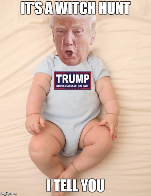 Crying Trump Baby | IT'S A WITCH HUNT; I TELL YOU | image tagged in crying trump baby | made w/ Imgflip meme maker