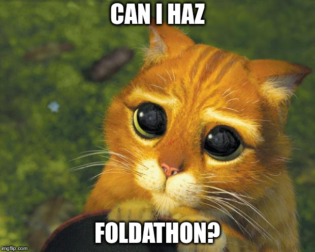 puss in boots | CAN I HAZ; FOLDATHON? | image tagged in puss in boots | made w/ Imgflip meme maker