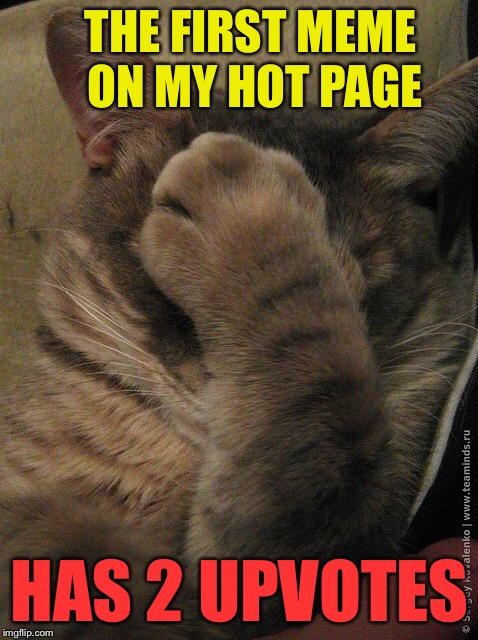 Unpopular RayCat | THE FIRST MEME ON MY HOT PAGE; HAS 2 UPVOTES | image tagged in memes,unpopular raycat,raycat | made w/ Imgflip meme maker