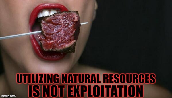 UTILIZING NATURAL RESOURCES IS NOT EXPLOITATION | made w/ Imgflip meme maker