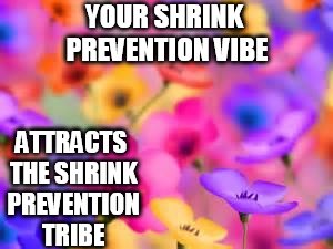 flowers | YOUR SHRINK PREVENTION VIBE; ATTRACTS THE SHRINK PREVENTION TRIBE | image tagged in flowers | made w/ Imgflip meme maker