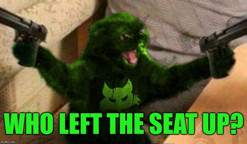 RayCat Angry | WHO LEFT THE SEAT UP? | image tagged in raycat angry | made w/ Imgflip meme maker