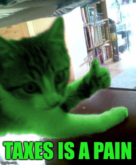 thumbs up RayCat | TAXES IS A PAIN | image tagged in thumbs up raycat | made w/ Imgflip meme maker