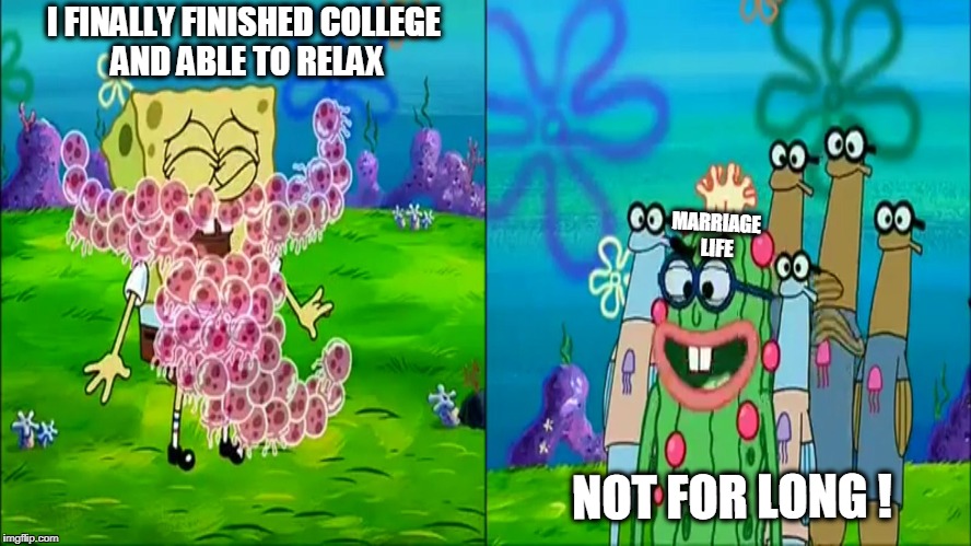 Not Really For Long, | I FINALLY FINISHED COLLEGE AND ABLE TO RELAX; MARRIAGE LIFE; NOT FOR LONG ! | image tagged in not for long,college,memes,not for long meme,kevin,spongebob | made w/ Imgflip meme maker