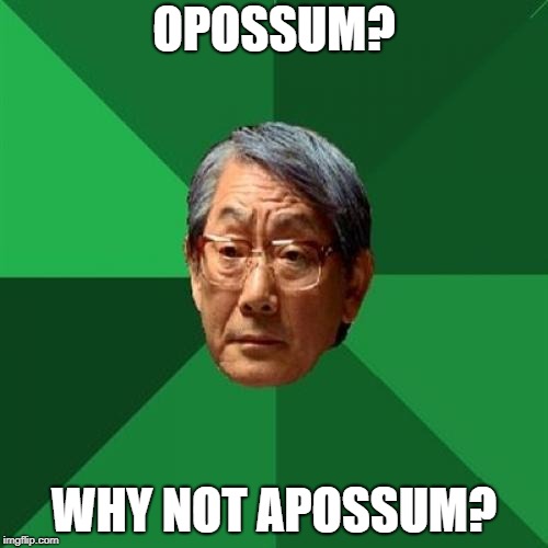 opossum | OPOSSUM? WHY NOT APOSSUM? | image tagged in memes,high expectations asian father | made w/ Imgflip meme maker