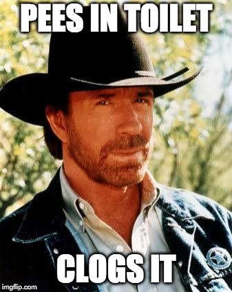 Chuck Norris Fact of the Day |  PEES IN TOILET; CLOGS IT | image tagged in memes,chuck norris,fact,fact of the day | made w/ Imgflip meme maker