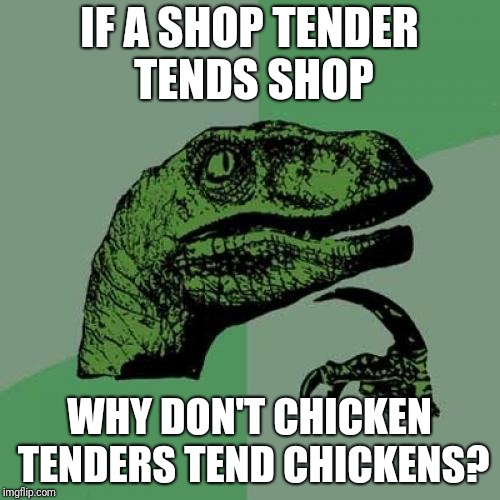 Philosoraptor Meme | IF A SHOP TENDER TENDS SHOP; WHY DON'T CHICKEN TENDERS TEND CHICKENS? | image tagged in memes,philosoraptor | made w/ Imgflip meme maker