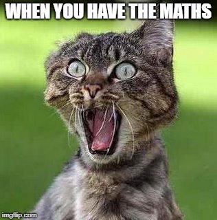 Shocked Cat | WHEN YOU HAVE THE MATHS | image tagged in shocked cat | made w/ Imgflip meme maker