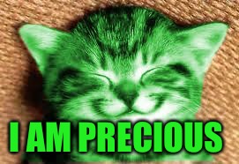 happy RayCat | I AM PRECIOUS | image tagged in happy raycat | made w/ Imgflip meme maker