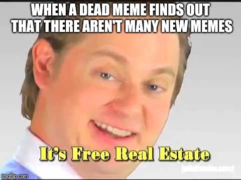 its free real estate | WHEN A DEAD MEME FINDS OUT THAT THERE AREN'T MANY NEW MEMES | image tagged in its free real estate | made w/ Imgflip meme maker