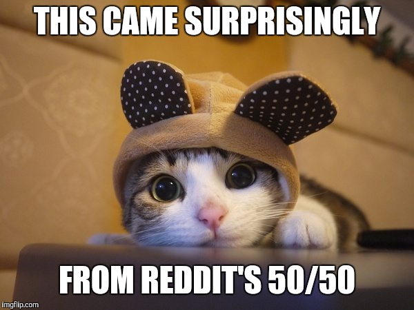 I expected to get a bad one! | THIS CAME SURPRISINGLY; FROM REDDIT'S 50/50 | image tagged in memes,cats,reddit | made w/ Imgflip meme maker