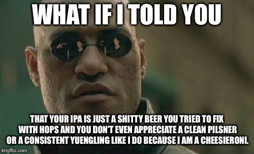 Matrix Morpheus Meme | WHAT IF I TOLD YOU; THAT YOUR IPA IS JUST A SHITTY BEER YOU TRIED TO FIX WITH HOPS AND YOU DON’T EVEN APPRECIATE A CLEAN PILSNER OR A CONSISTENT YUENGLING LIKE I DO BECAUSE I AM A CHEESIERONI. | image tagged in memes,matrix morpheus | made w/ Imgflip meme maker