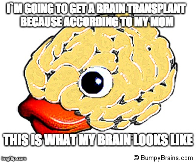 I`M GOING TO GET A BRAIN TRANSPLANT BECAUSE ACCORDING TO MY MOM; THIS IS WHAT MY BRAIN LOOKS LIKE | image tagged in memes,viral meme | made w/ Imgflip meme maker