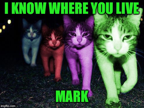 Wrong Neighborhood RayCats | I KNOW WHERE YOU LIVE MARK | image tagged in wrong neighborhood raycats | made w/ Imgflip meme maker