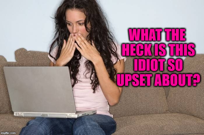 WHAT THE HECK IS THIS IDIOT SO UPSET ABOUT? | made w/ Imgflip meme maker