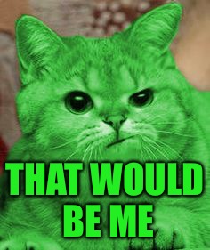 RayCat Annoyed | THAT WOULD BE ME | image tagged in raycat annoyed | made w/ Imgflip meme maker