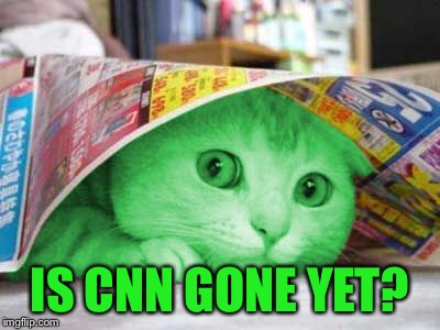 RayCat Scared | IS CNN GONE YET? | image tagged in raycat scared | made w/ Imgflip meme maker