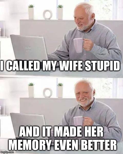 Hide the Pain Harold Meme | I CALLED MY WIFE STUPID; AND IT MADE HER MEMORY EVEN BETTER | image tagged in memes,hide the pain harold | made w/ Imgflip meme maker