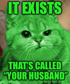 RayCat Annoyed | IT EXISTS THAT’S CALLED “YOUR HUSBAND” | image tagged in raycat annoyed | made w/ Imgflip meme maker