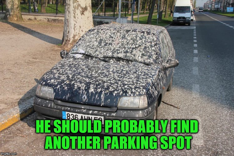 HE SHOULD PROBABLY FIND ANOTHER PARKING SPOT | made w/ Imgflip meme maker