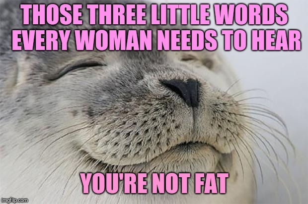 The way to a woman's heart | THOSE THREE LITTLE WORDS EVERY WOMAN NEEDS TO HEAR; YOU'RE NOT FAT | image tagged in memes,satisfied seal | made w/ Imgflip meme maker