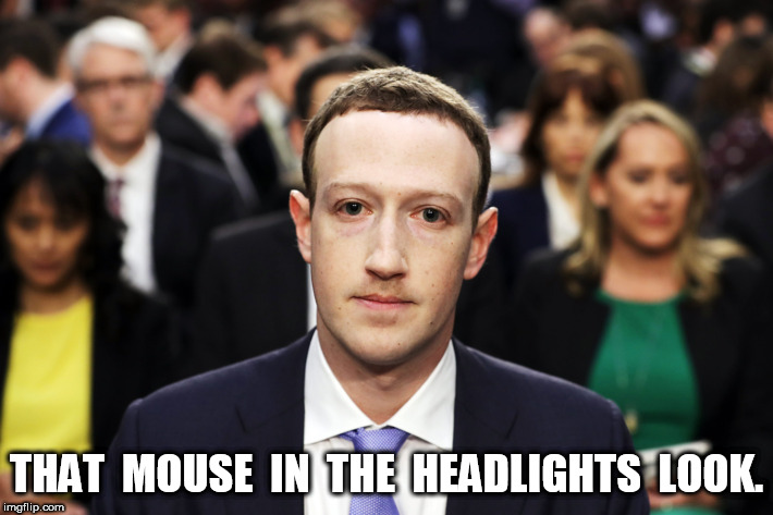Zuckerberg Mouse in the Headlights | THAT  MOUSE  IN  THE  HEADLIGHTS  LOOK. | image tagged in mark zuckerberg | made w/ Imgflip meme maker