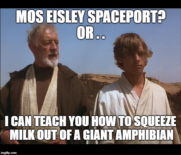 Mos Eisley Spaceport | MOS EISLEY SPACEPORT? OR . . I CAN TEACH YOU HOW TO SQUEEZE MILK OUT OF A GIANT AMPHIBIAN | image tagged in obi wan mos eisley spaceport you will never find a more wretched | made w/ Imgflip meme maker