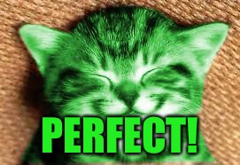happy RayCat | PERFECT! | image tagged in happy raycat | made w/ Imgflip meme maker