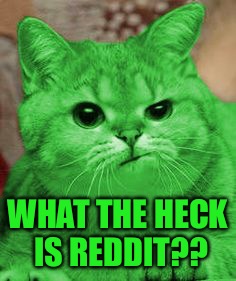 RayCat Annoyed | WHAT THE HECK IS REDDIT?? | image tagged in raycat annoyed | made w/ Imgflip meme maker