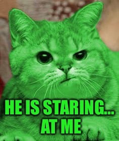 RayCat Annoyed | HE IS STARING... AT ME | image tagged in raycat annoyed | made w/ Imgflip meme maker