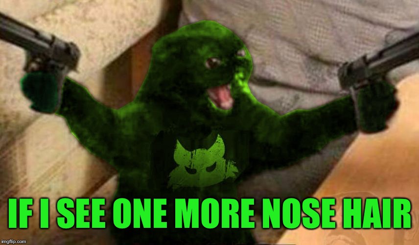 RayCat Angry | IF I SEE ONE MORE NOSE HAIR | image tagged in raycat angry | made w/ Imgflip meme maker