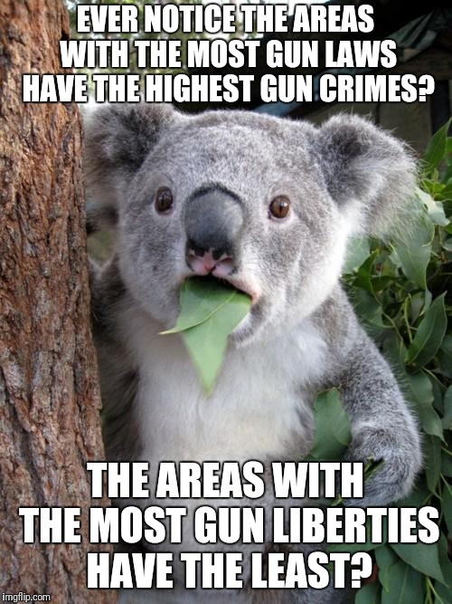 Surprised Koala Meme | EVER NOTICE THE AREAS WITH THE MOST GUN LAWS HAVE THE HIGHEST GUN CRIMES? THE AREAS WITH THE MOST GUN LIBERTIES HAVE THE LEAST? | image tagged in memes,surprised koala | made w/ Imgflip meme maker